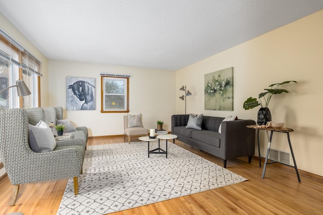 living room with hardwood / wood-style flooring