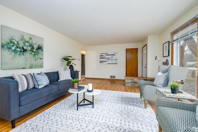 living room featuring wood-type flooring