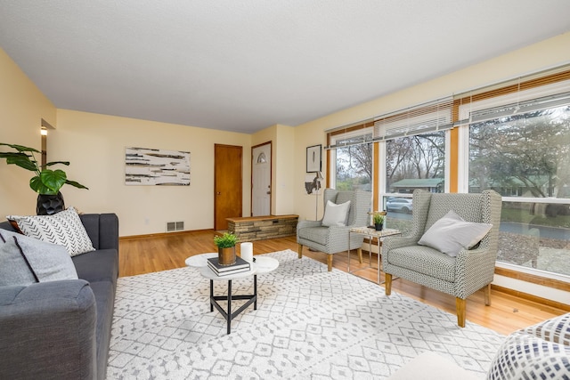 living room with hardwood / wood-style flooring