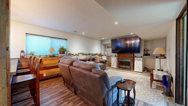 living room with hardwood / wood-style floors and a fireplace