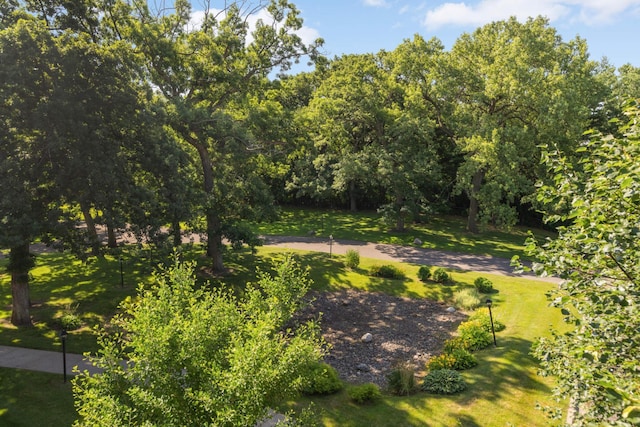 2210 Midland Grove Rd Unit 306, Roseville, MN 55113 - photo 13