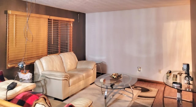 living room with wood-type flooring