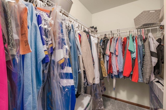 walk in closet with carpet floors