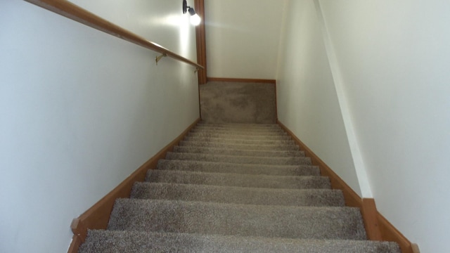 staircase featuring carpet flooring