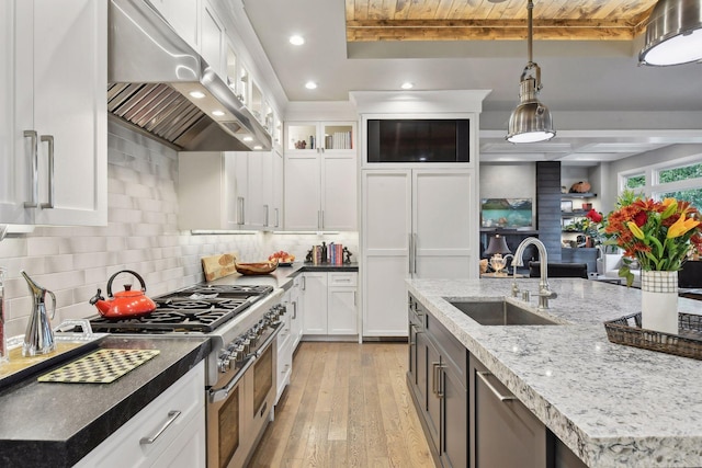 kitchen featuring sink, white cabinets, and high end appliances