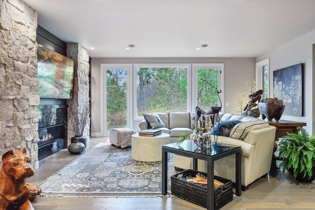 living room with a fireplace and wood-type flooring