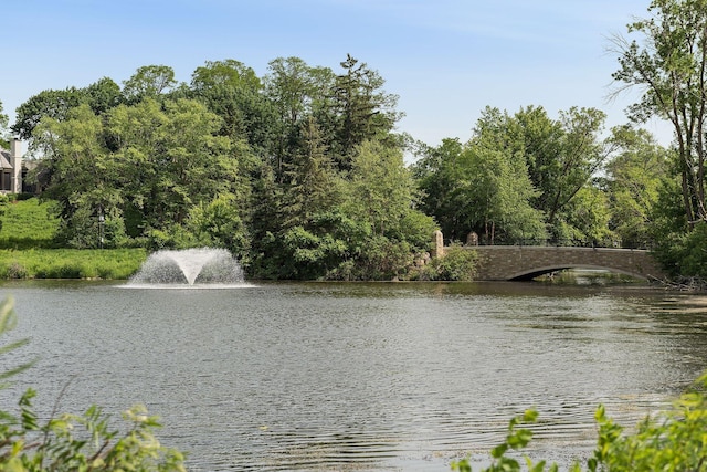 property view of water