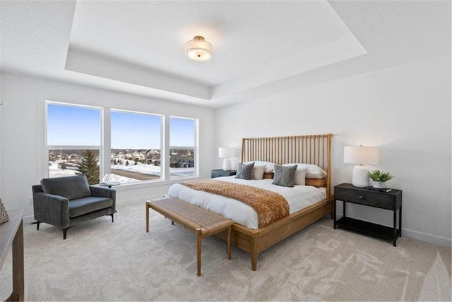 carpeted bedroom with a raised ceiling