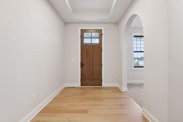 entryway with a tray ceiling, a wealth of natural light, and light wood-type flooring