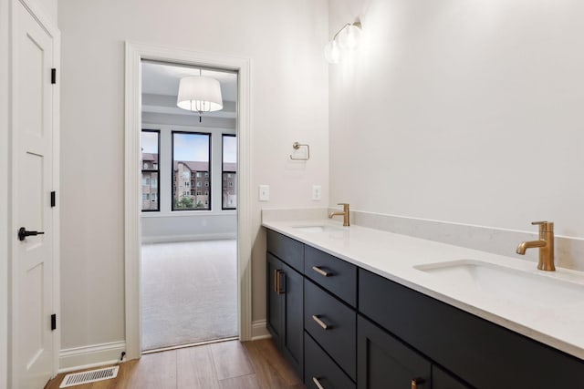 bathroom featuring vanity and wood-type flooring