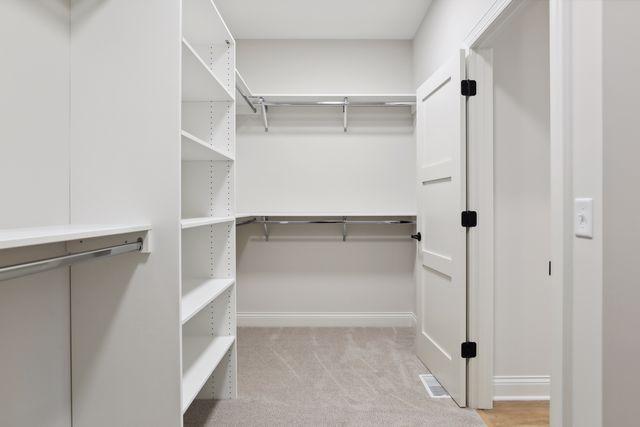 spacious closet featuring light colored carpet