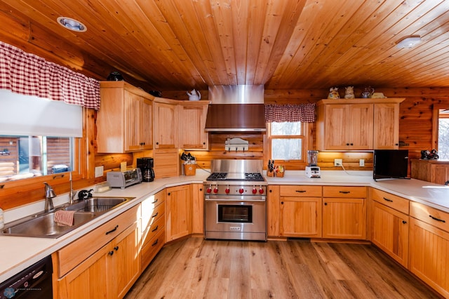 kitchen with dishwasher, plenty of natural light, designer stove, and wall chimney range hood