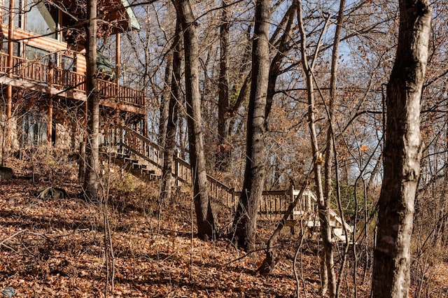 view of local wilderness