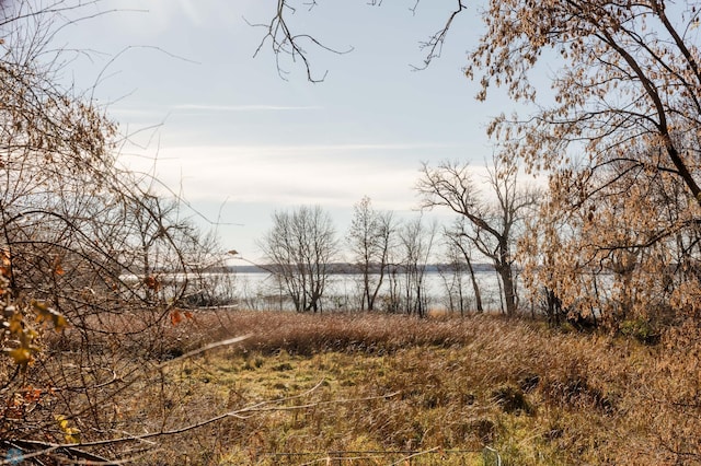 view of nature with a water view