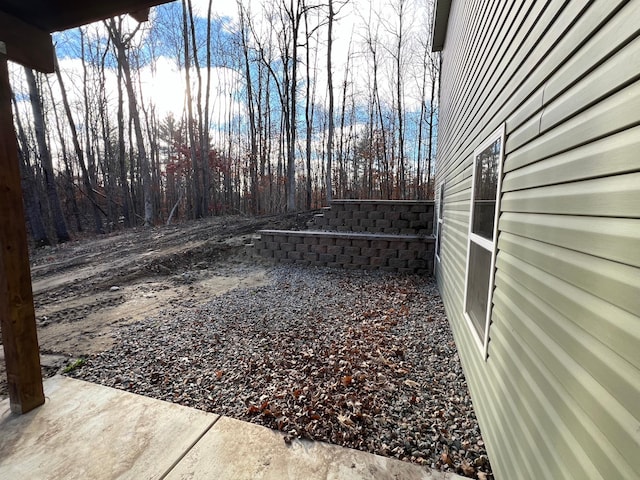 view of yard with a patio