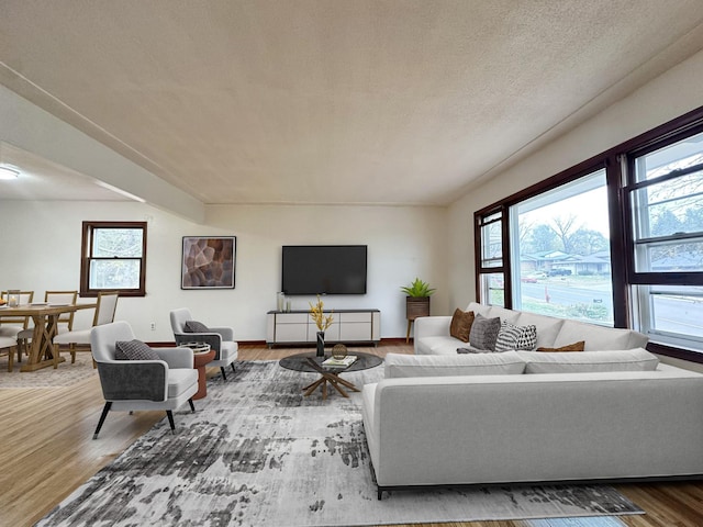 living room featuring a wealth of natural light, hardwood / wood-style floors, and a textured ceiling