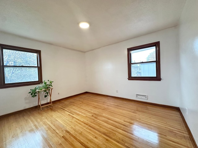 empty room featuring a healthy amount of sunlight, light hardwood / wood-style floors, and a textured ceiling