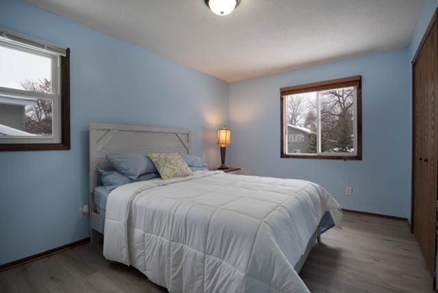 bedroom featuring dark hardwood / wood-style flooring, multiple windows, and a closet