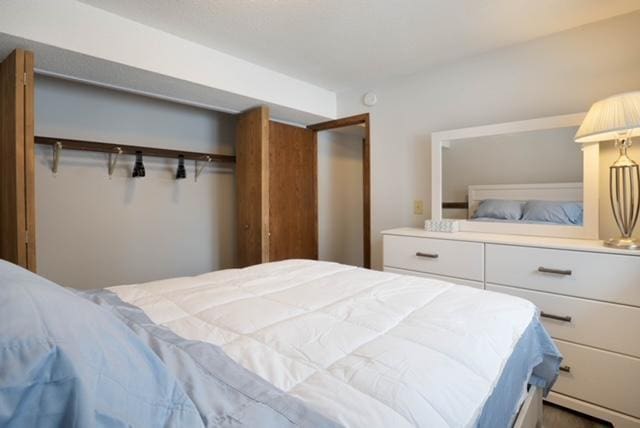 bedroom featuring a closet