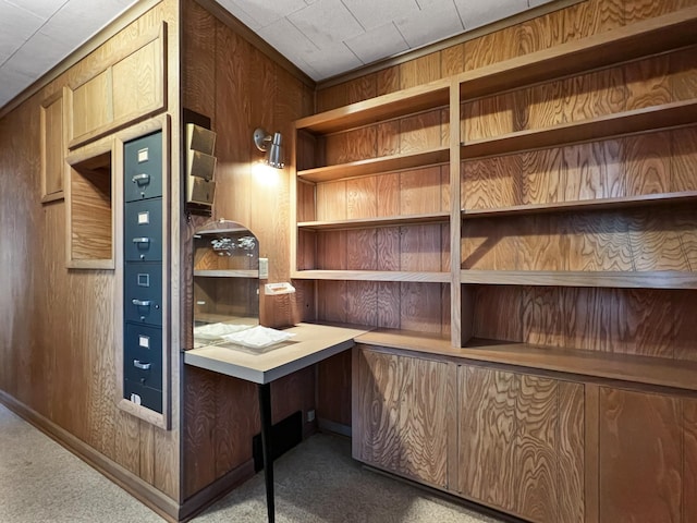 carpeted office space with wood walls