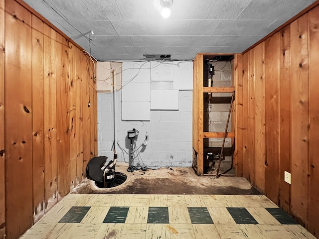 basement with wood walls