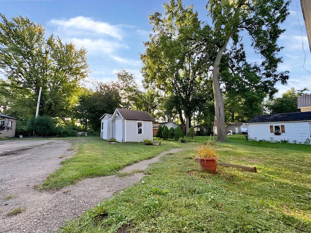 view of yard featuring a shed