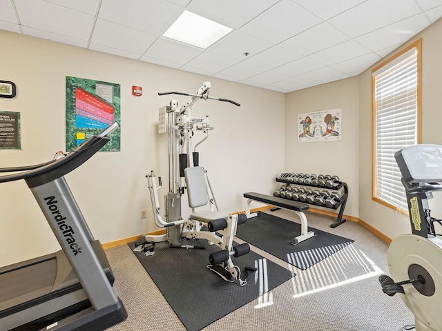 workout area with a drop ceiling and carpet floors