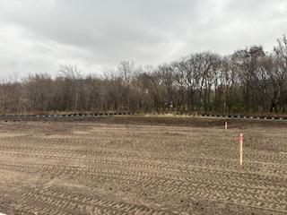 view of yard with a rural view