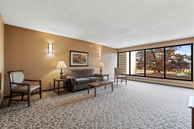 7500 Cahill Rd Unit 207C, Edina, MN 55439 - carpeted living area with a baseboard heating unit, a textured ceiling, and baseboards