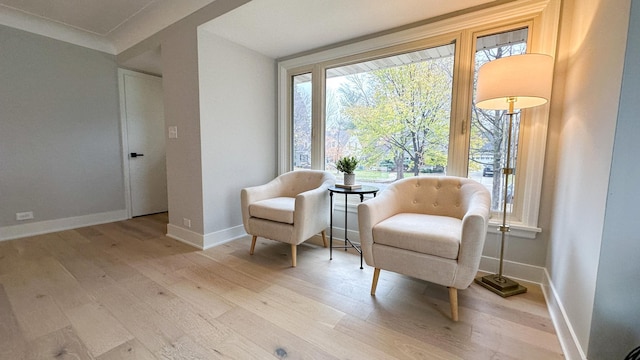 sitting room with light wood-type flooring