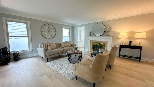 living room with light hardwood / wood-style flooring