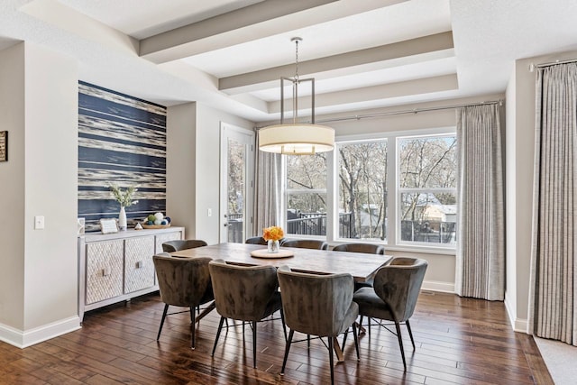 dining area with a tray ceiling and dark hardwood / wood-style flooring