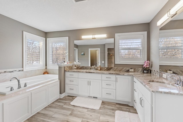 bathroom with a bathing tub, a wealth of natural light, and vanity