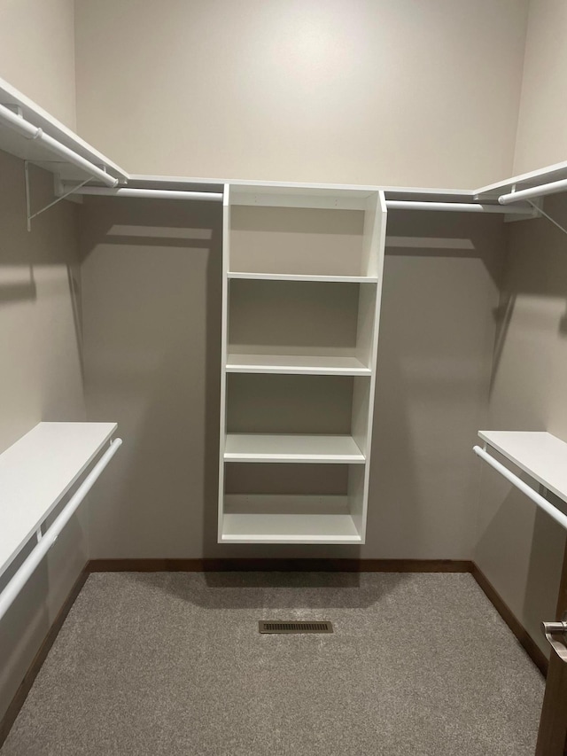 spacious closet featuring carpet