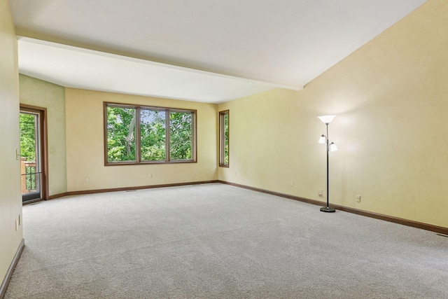 6517 Crackleberry Trl, Woodbury, MN 55129 - spare room with carpet and baseboards