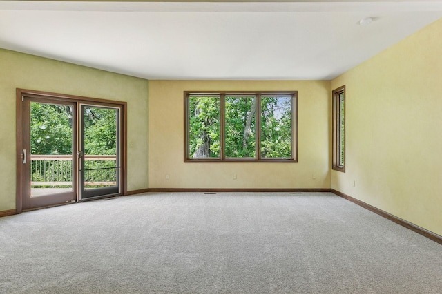 6517 Crackleberry Trl, Woodbury, MN 55129 - carpeted spare room featuring plenty of natural light and a smoke detector