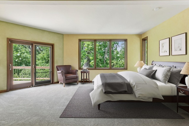 6517 Crackleberry Trl, Woodbury, MN 55129 - bedroom with access to exterior, multiple windows, and carpet