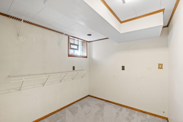 walk in closet featuring light colored carpet