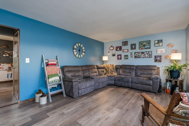 living room with wood-type flooring and a textured ceiling