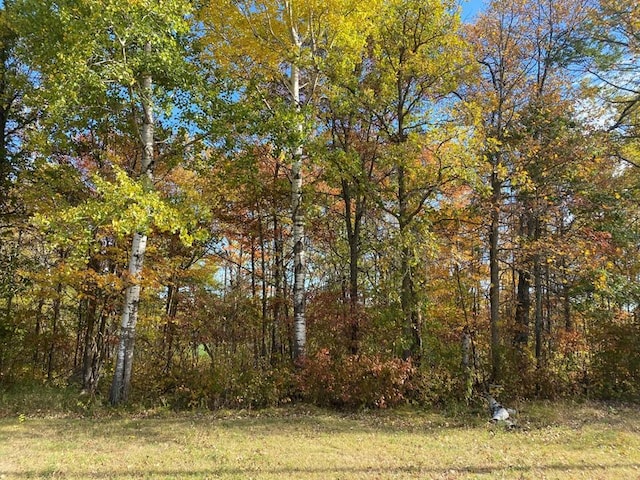 Listing photo 3 for TBD County 22, Bemidji MN 56601