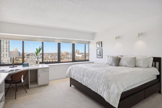 1920 1st St Unit 2001, Minneapolis, MN 55454 - bedroom featuring a city view, light colored carpet, a textured ceiling, and built in study area
