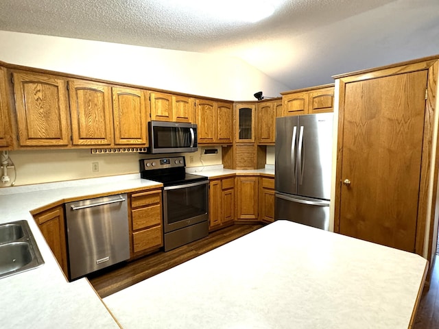 kitchen with dark hardwood / wood-style floors, a textured ceiling, appliances with stainless steel finishes, and vaulted ceiling