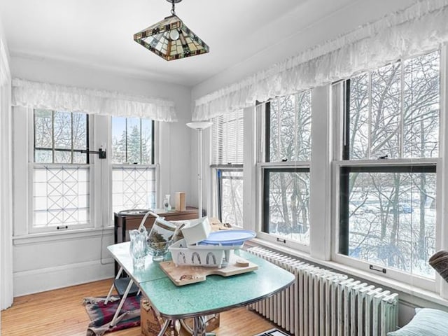 dining room featuring radiator, baseboards, and wood finished floors