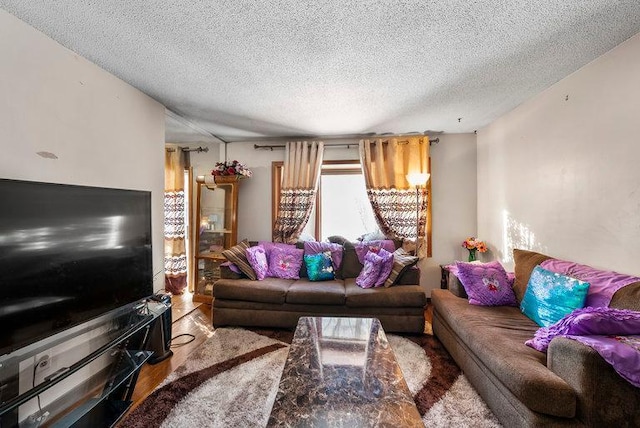 living room with hardwood / wood-style floors and a textured ceiling