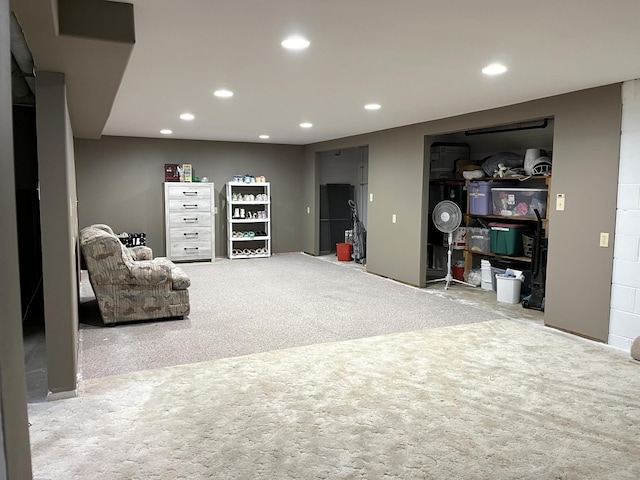 living area featuring carpet