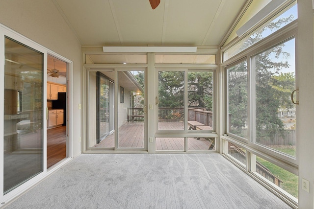 unfurnished sunroom featuring ceiling fan and vaulted ceiling