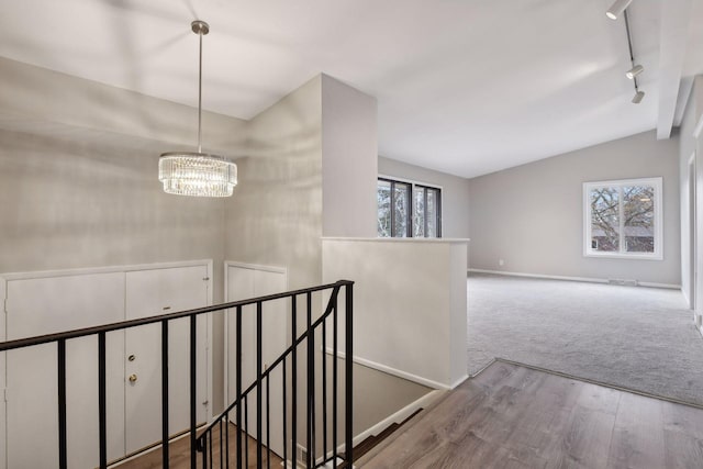 corridor with a wealth of natural light, rail lighting, vaulted ceiling, and wood-type flooring