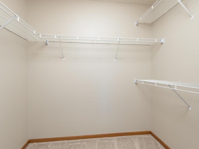 spacious closet with carpet flooring