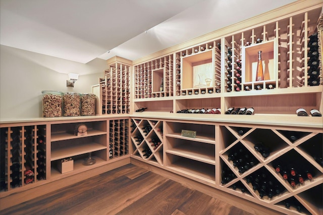 wine room with hardwood / wood-style floors