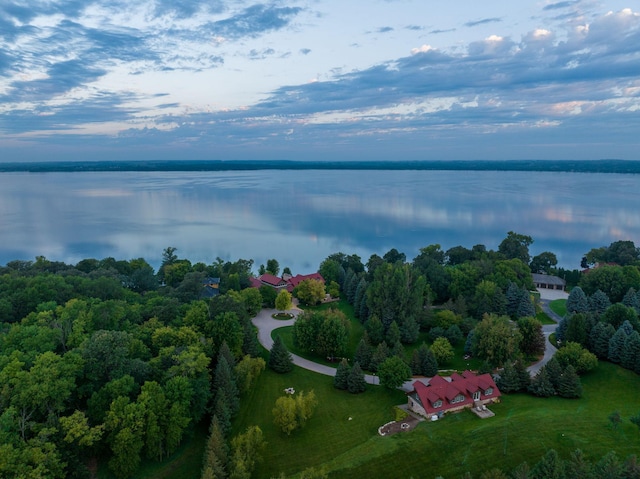 19752 Halwood Rd, Glenwood Twp, MN 56334 - drone / aerial view of a large body of water